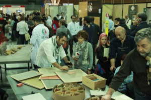 Pancotti Superfici Restructura 2014 15 